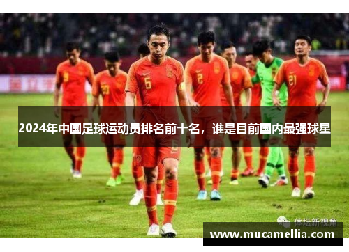 2024年中国足球运动员排名前十名，谁是目前国内最强球星