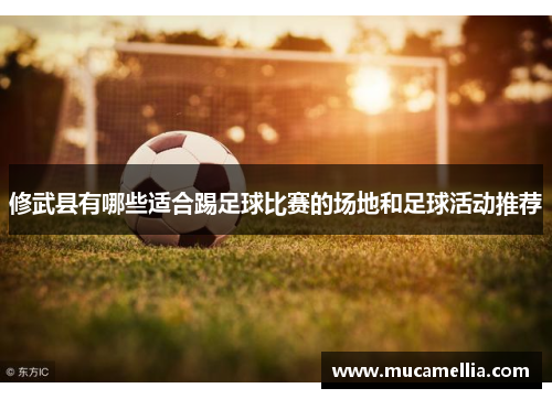 修武县有哪些适合踢足球比赛的场地和足球活动推荐