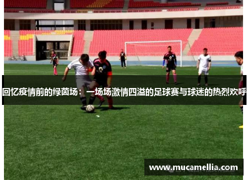 回忆疫情前的绿茵场：一场场激情四溢的足球赛与球迷的热烈欢呼