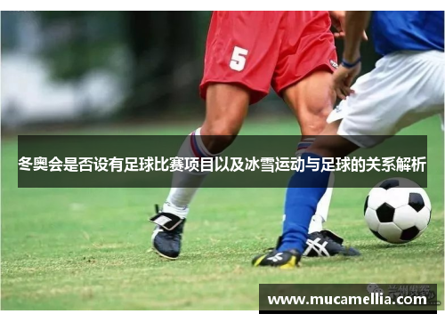 冬奥会是否设有足球比赛项目以及冰雪运动与足球的关系解析