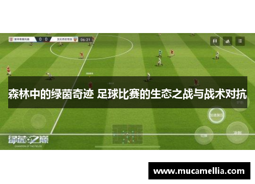 森林中的绿茵奇迹 足球比赛的生态之战与战术对抗