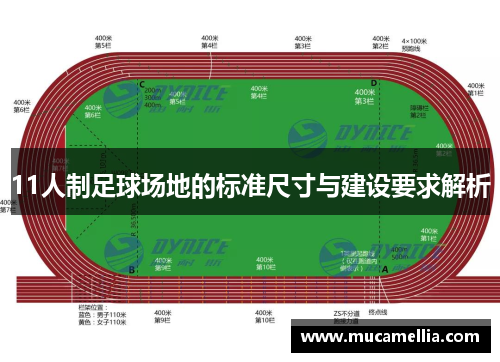 11人制足球场地的标准尺寸与建设要求解析